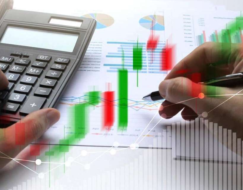 Steady Growth in the Online Retail Market